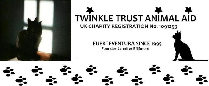 twinkletrust.org Home Page