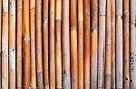  renewable materials