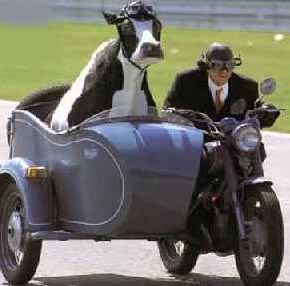  could this be an example of sustainable transport?