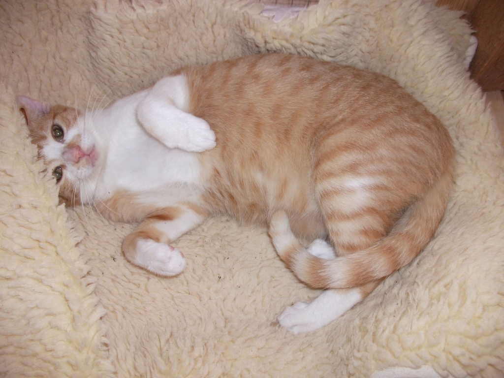 Titch in Feb 2012