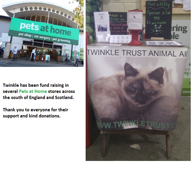 Pets at Home Support Twinkle
