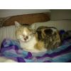 Ethel RIP xx