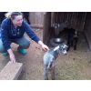 Aoife volunteer vet, you name it,she can treat it. xx
