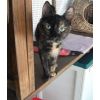 Elsie - such a really lovely girl - missed so very much.