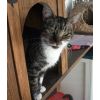 Elsie - Just as sweet and cute as her sister. A belssing to have loved them,just wished they had the chance of a home before they had to leave this world.