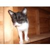Lilly and Maurice need a home together.