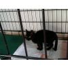 Margareta - HOMED - AWAITING CONTRACT