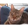 Molly and her siblings were found dumped in a bucket outside a school.