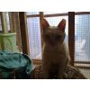 Ruper,now in his new home but still trying to get better.