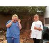 Sally and Julie,running about in the midday sun, to carry out flea and worm treatment on our Twinkle farm cats.