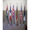 Flags of Twin Cities