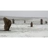 Avebury  West Kennet Avenue in snow and mist December 2010