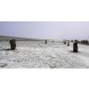 Avebury  West Kennet Avenue in snow and mist December 2010