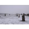 Avebury  West Kennet Avenue in snow and mist December 2010