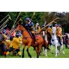Cavalry being kept at bay by ranks of pike.