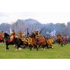 Cavalry being kept at bay by ranks of pike.