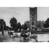 Cows dring from the Crammer Pond in the early 20th century