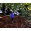 An autumn walk in Drews Ponds woods