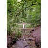 A bridge over the stream on the woodland circuit walk in Drews Pond nature Reserve