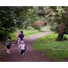 Approaching the open picnic area in Drews Pond Nature Reserve