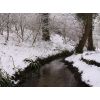 Drew's Pond stream in snow