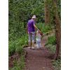 Woodland walk for a toddler in Drews Pond Woods