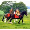 Two horse (cavalry)