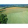 Roundway Down - looking south to the Covert. Leipzig plantation is on the left and the spur of Oliver's castle is far right. Photo courtesy of Neil Maw.
