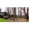 Nut walk Castle grounds