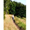 Roundway Covert footpath