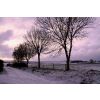 Chirton Down opposite the Wiltshire Yeoman Inn December 2010