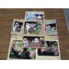 Karen's entry fully open mini book