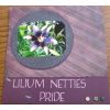 Linda Donlan's page