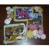 LESLEY'S PAGE