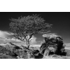 Doug Insole - Dartmoor