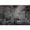 Nion D70S 830nm Filter