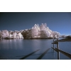 Ron French - Cadmans Pool