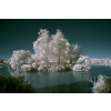 Ron French - Cadmans Pool