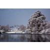 Nikon D70 with Sigma AF 18-200/3.5-6.3 lens Sheffield Park Gardens Sussex