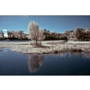 Ron French - Hatchets Pond