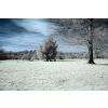 Canon EOS 450D 665nm filter with 10-22mm F3.5-4.5