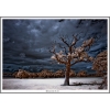 Ron French - Just Before The Storm