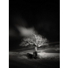Andy Lee Redriver Creative Ltd