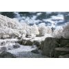Phil Whittaker  - Japanese Garden D70 590nM with Hoya R72 fitted