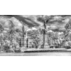 Phil Whittaker - Saltwell Park Memorial