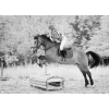 Canon Rebel XT 665nm filter