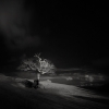 Andy Lee Redriver Creative Ltd