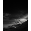 Andy Lee Redriver Creative Ltd