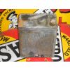 Big Tree Motor Spirit Two Gallon Petrol Can available
