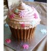 Giant Cupcake